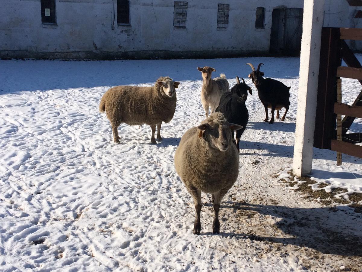 Folwark Luknajno Nad Jeziorem Sniardwy Gospoda Dziedzictwo Kulinarne Warmia-Mazury Mikołajki Esterno foto